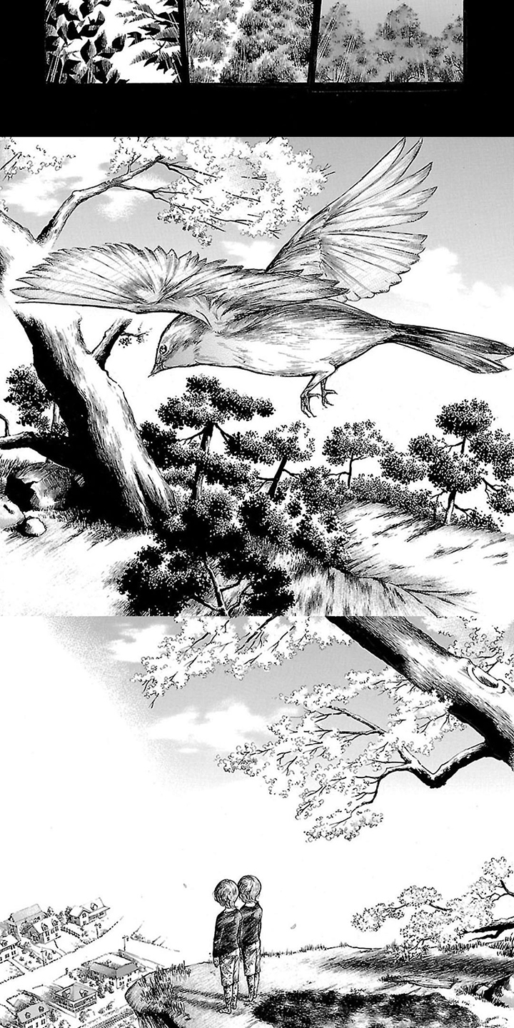 第1话：收养预览分镜