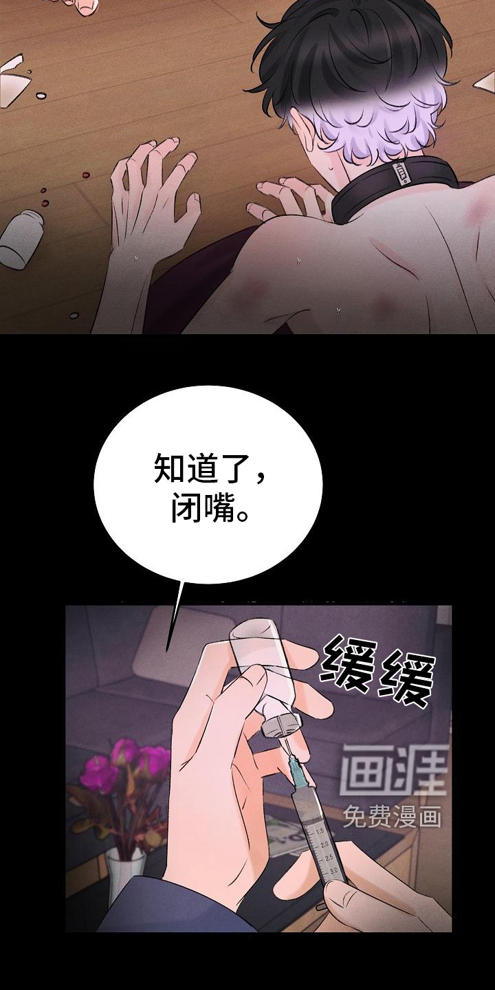 第15话：第15章：静养预览分镜