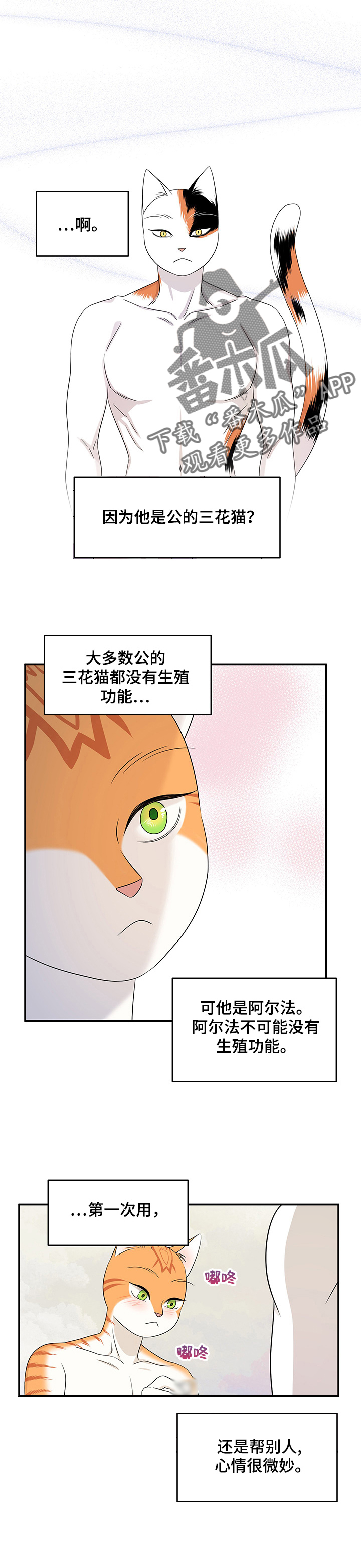 第13话：教我预览分镜