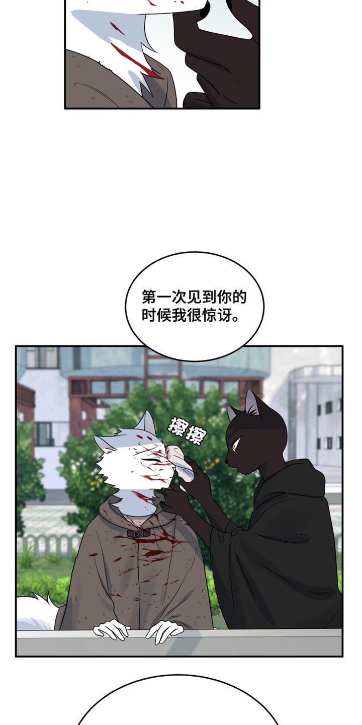 第141章:【第三季】和我一起活下去吧