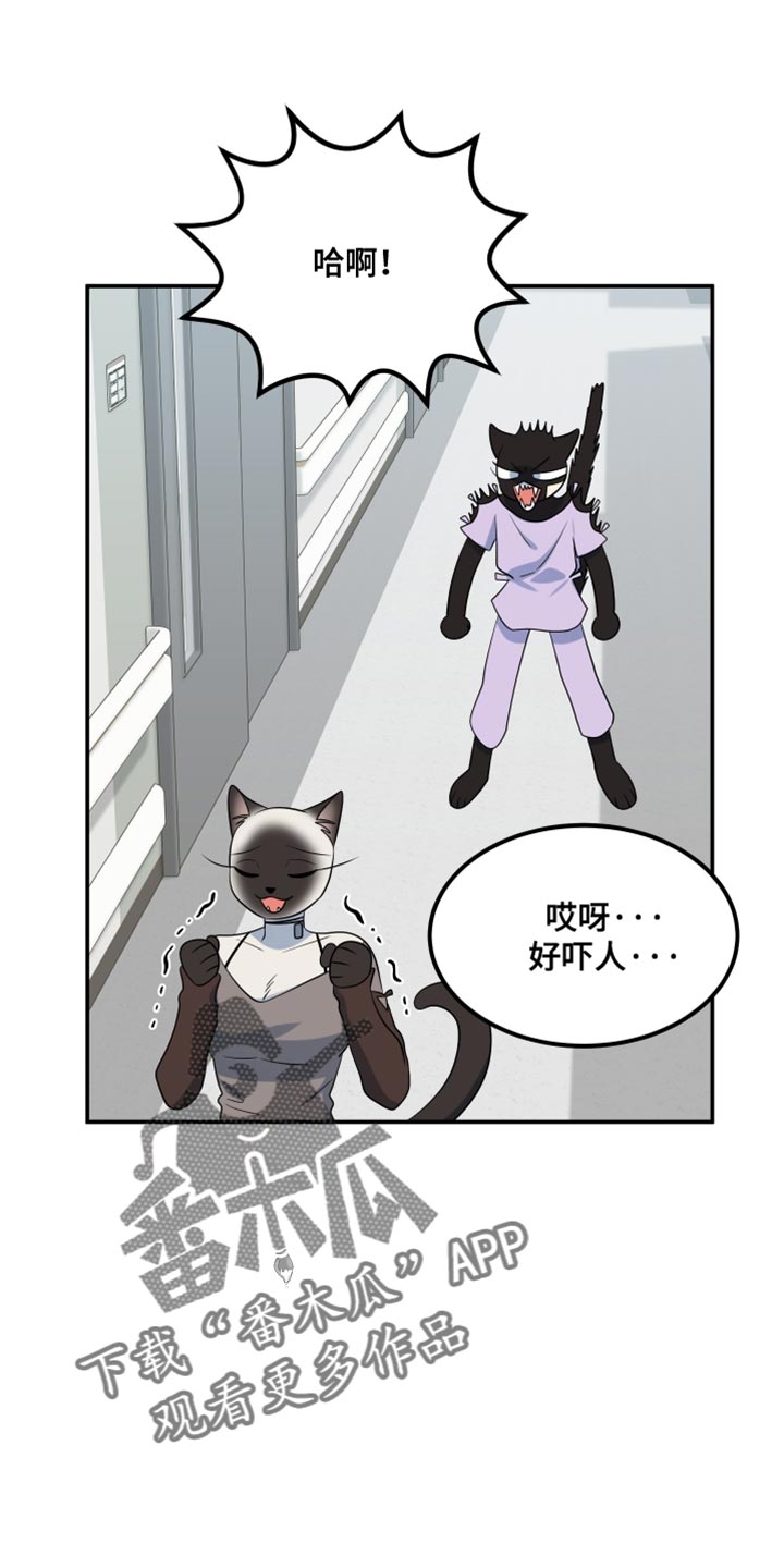 第151章:【第三季】候补队