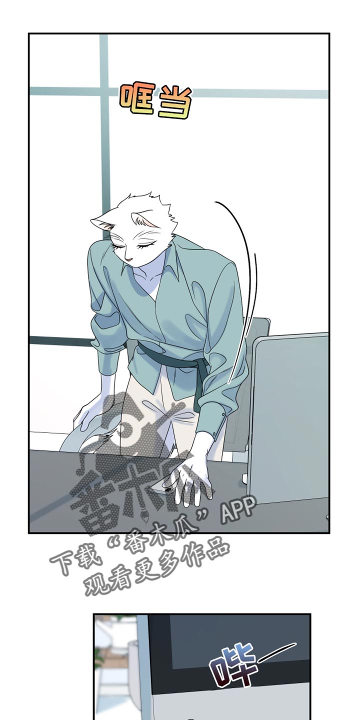第163章:【第三季】宝贵的猫