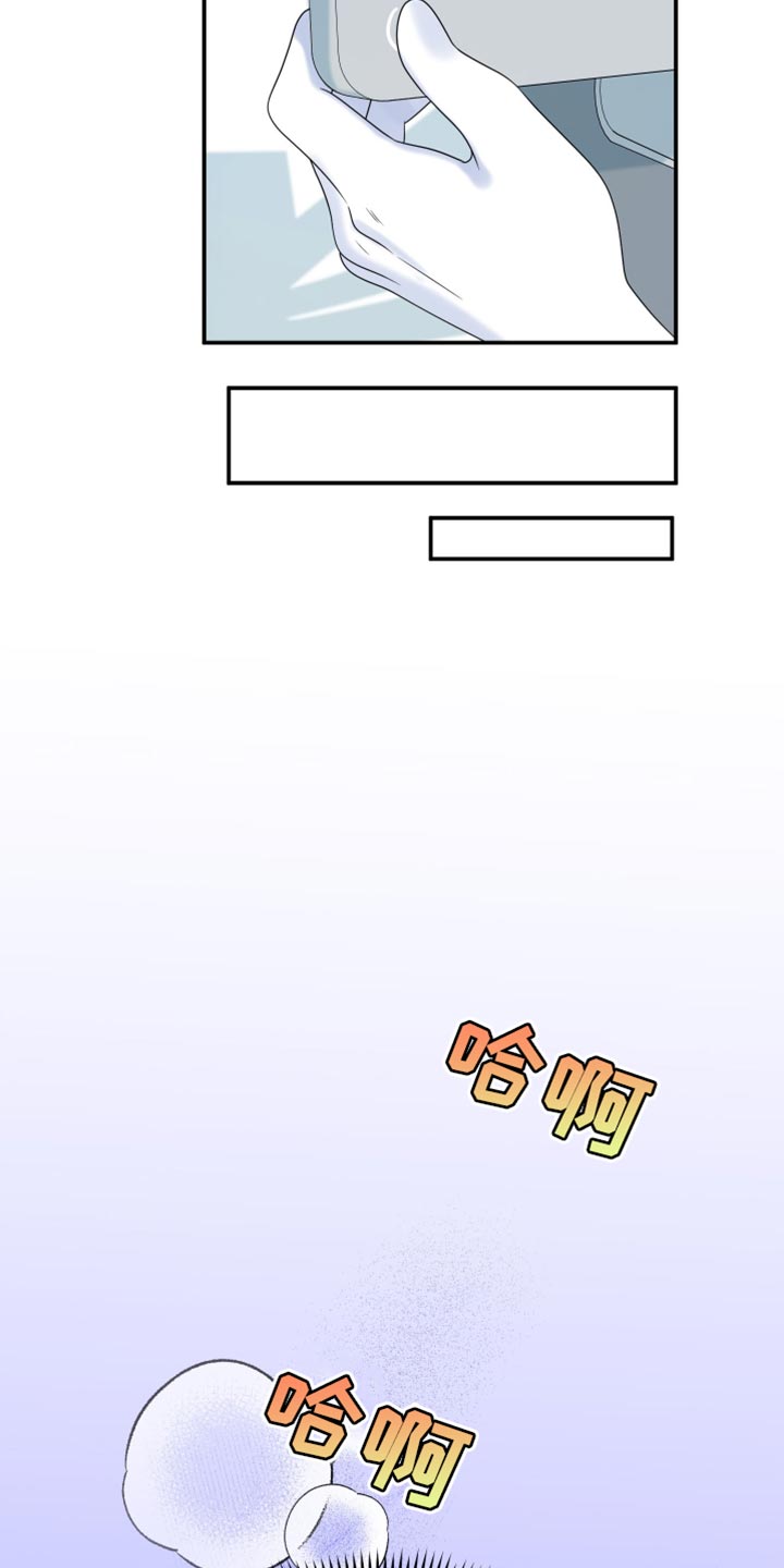 第163章:【第三季】宝贵的猫