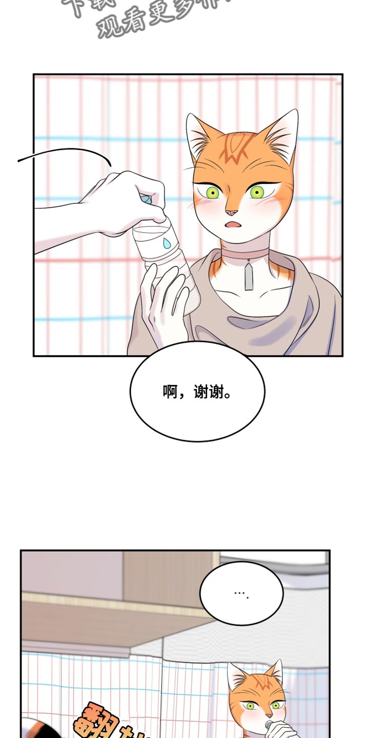第168章：【第三季】不能勉强（完结）