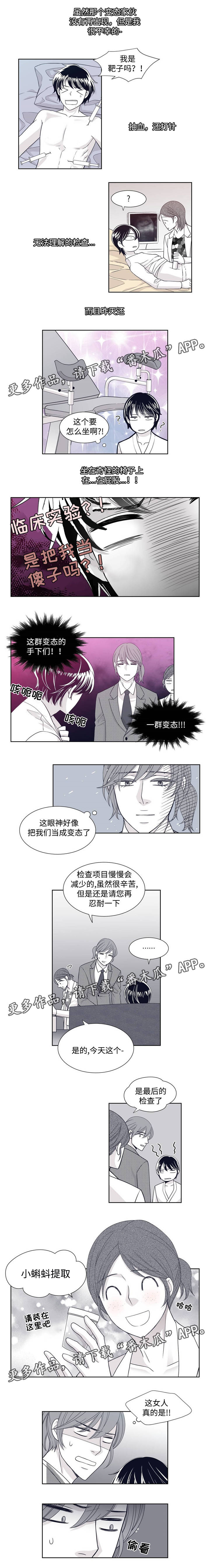 第12话：身体检查预览分镜