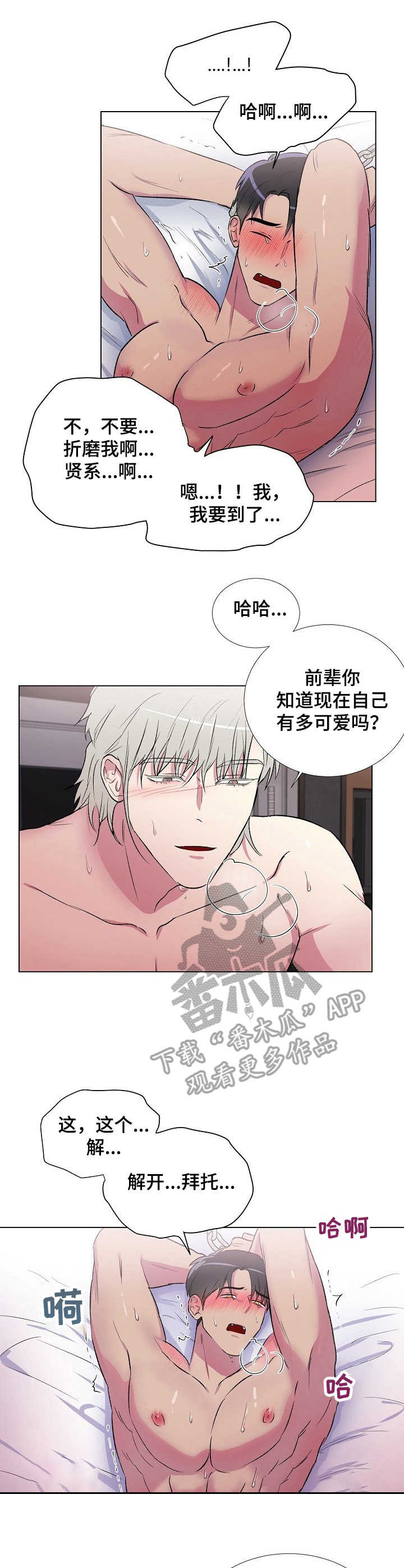 第12话：不解开预览分镜