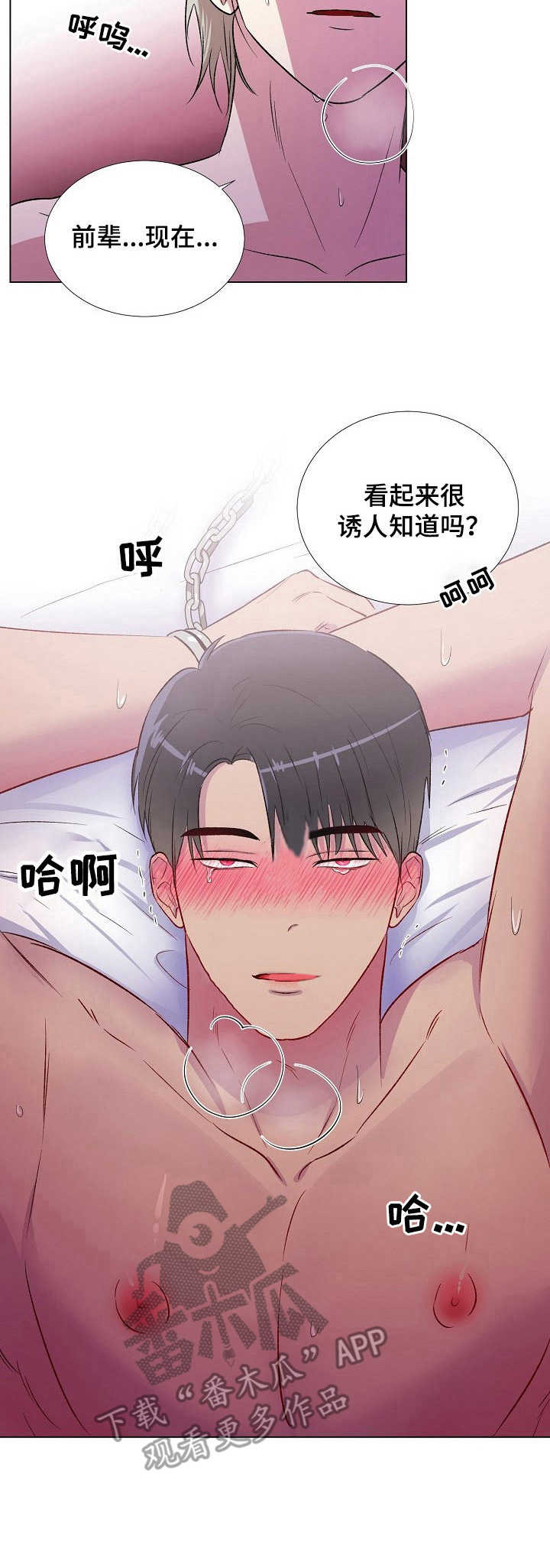 第13话：兴趣预览分镜