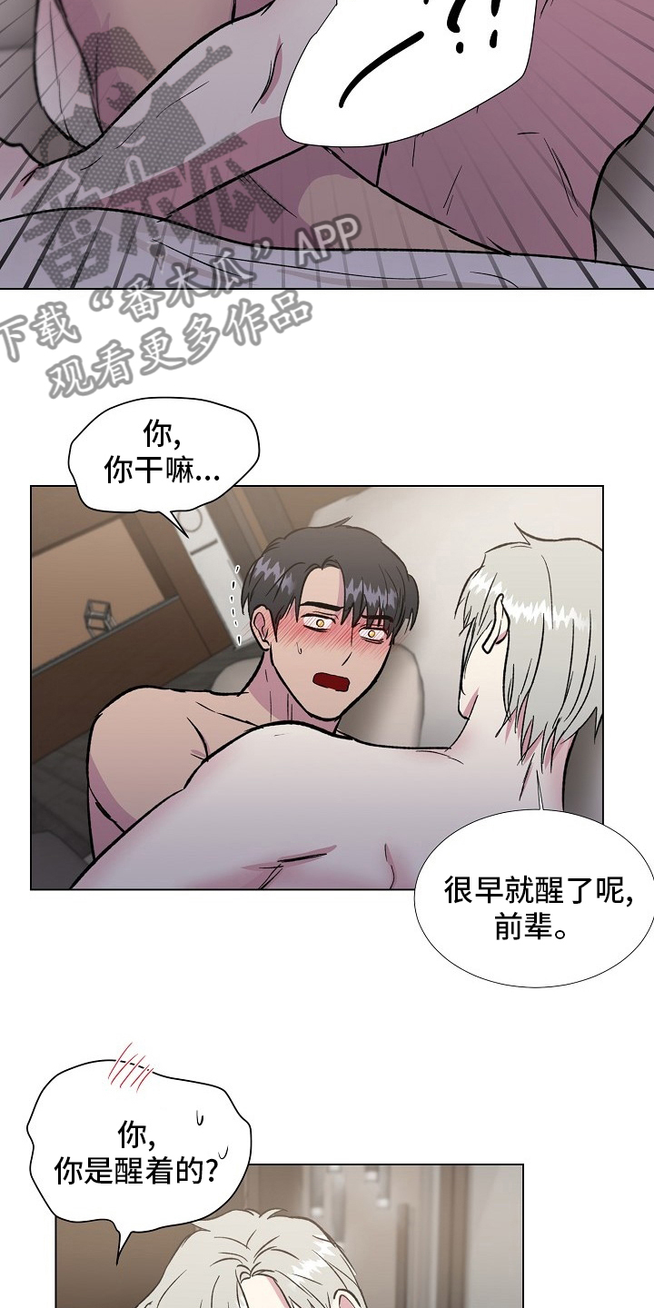 【完结】决定