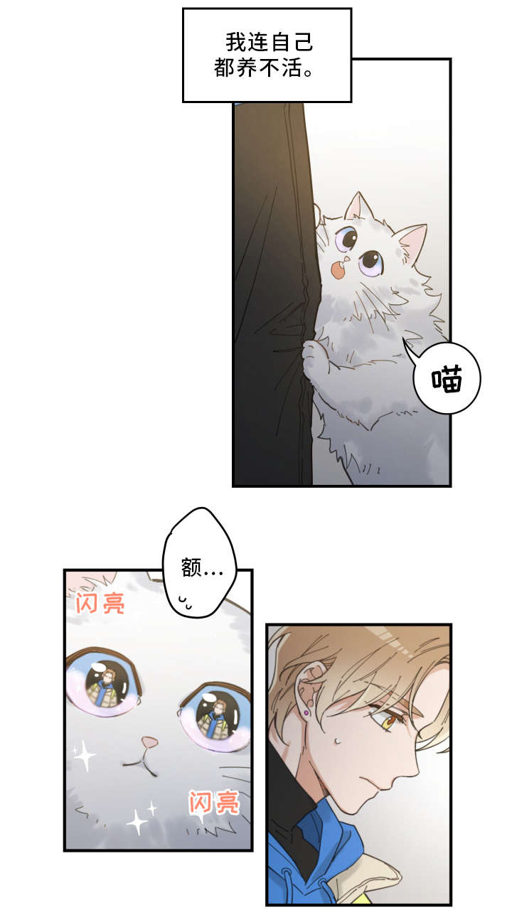 第2话：白猫预览分镜