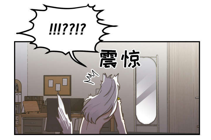 第3话：梦预览分镜