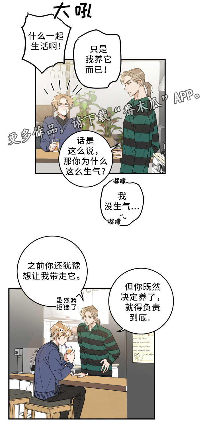 第10话：负责到底预览分镜