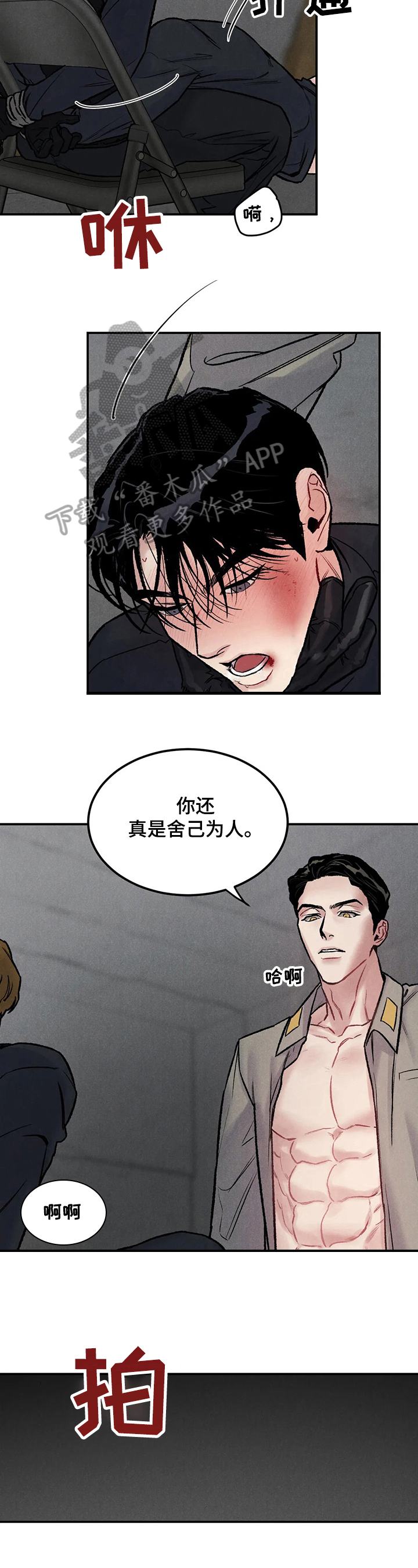 有用【完结】