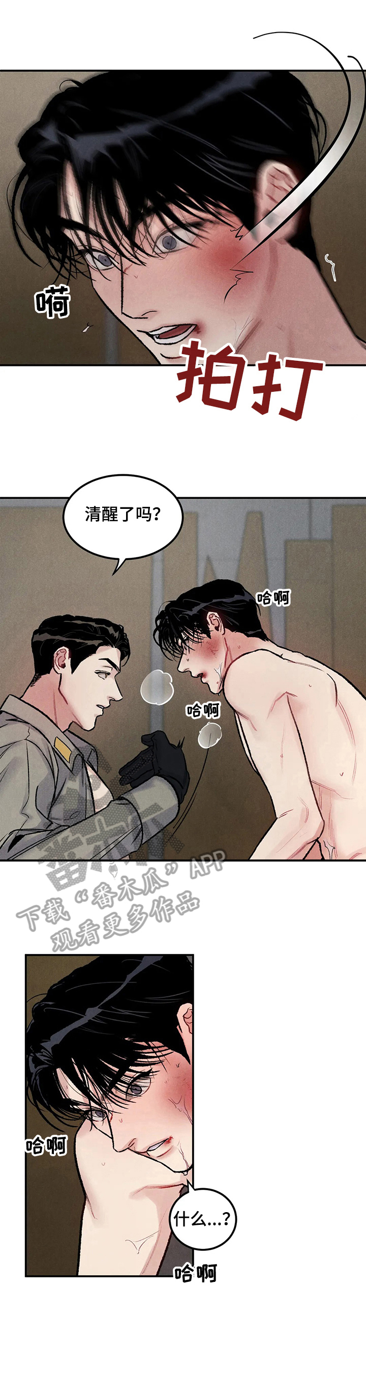 有用【完结】