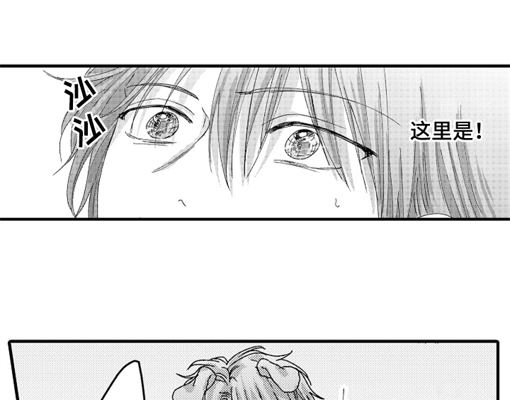 第13话：试药预览分镜