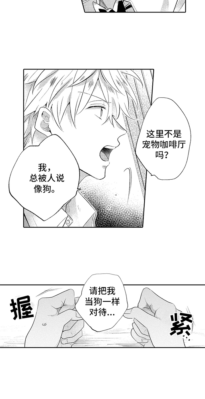 第3话：温暖预览分镜