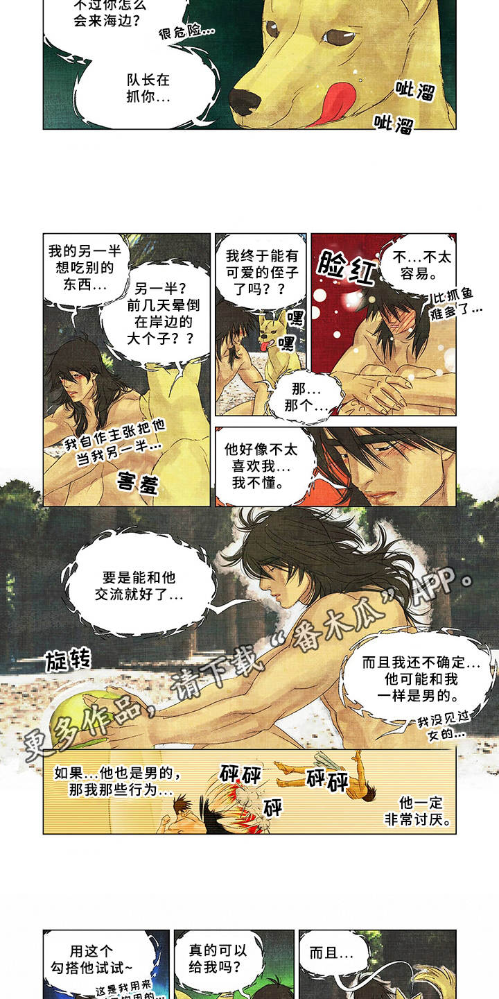 第11话：捕食预览分镜