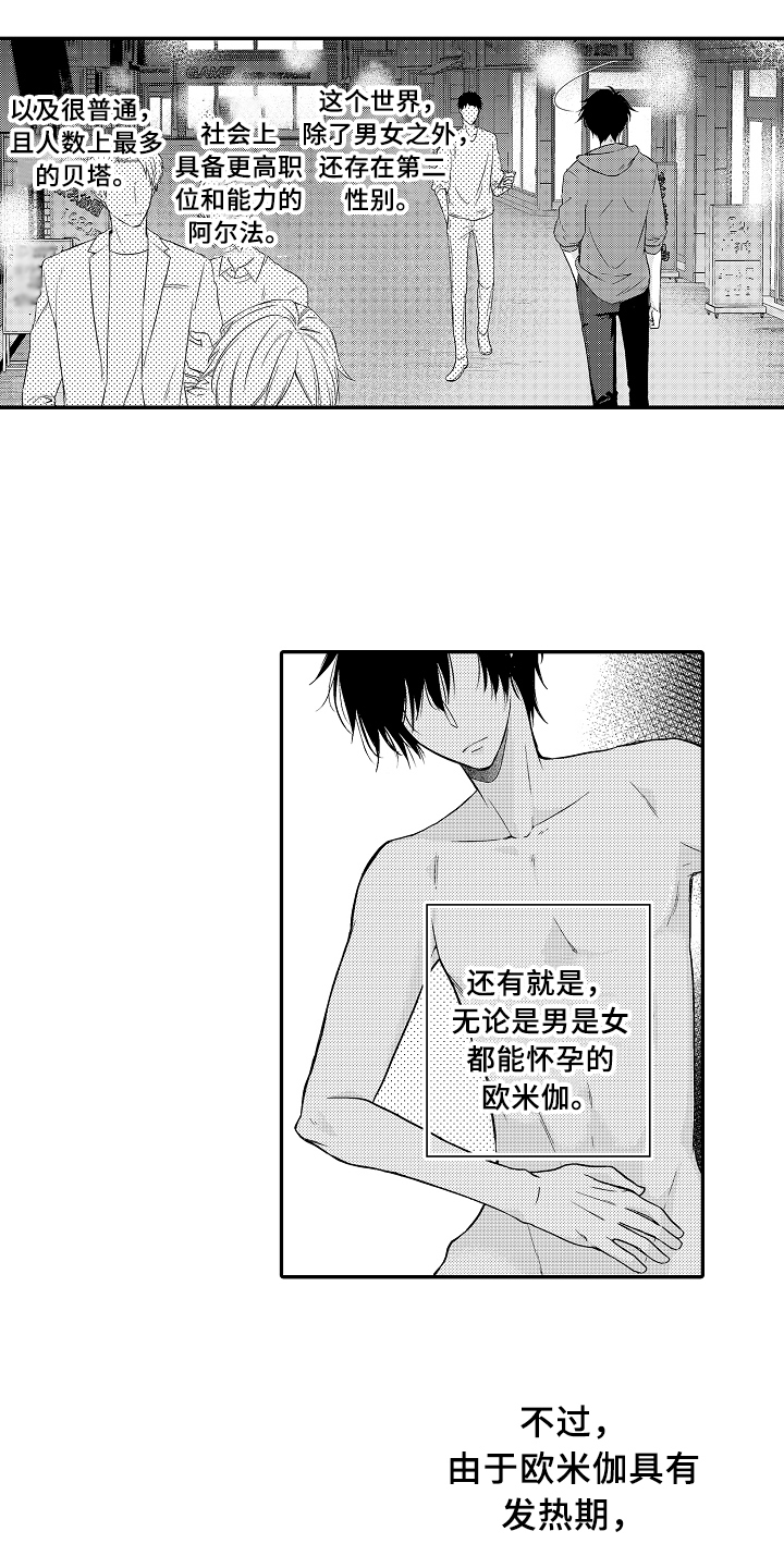 第1话：拍卖预览分镜