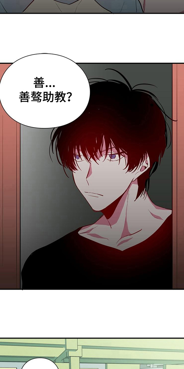 第15话：相似预览分镜