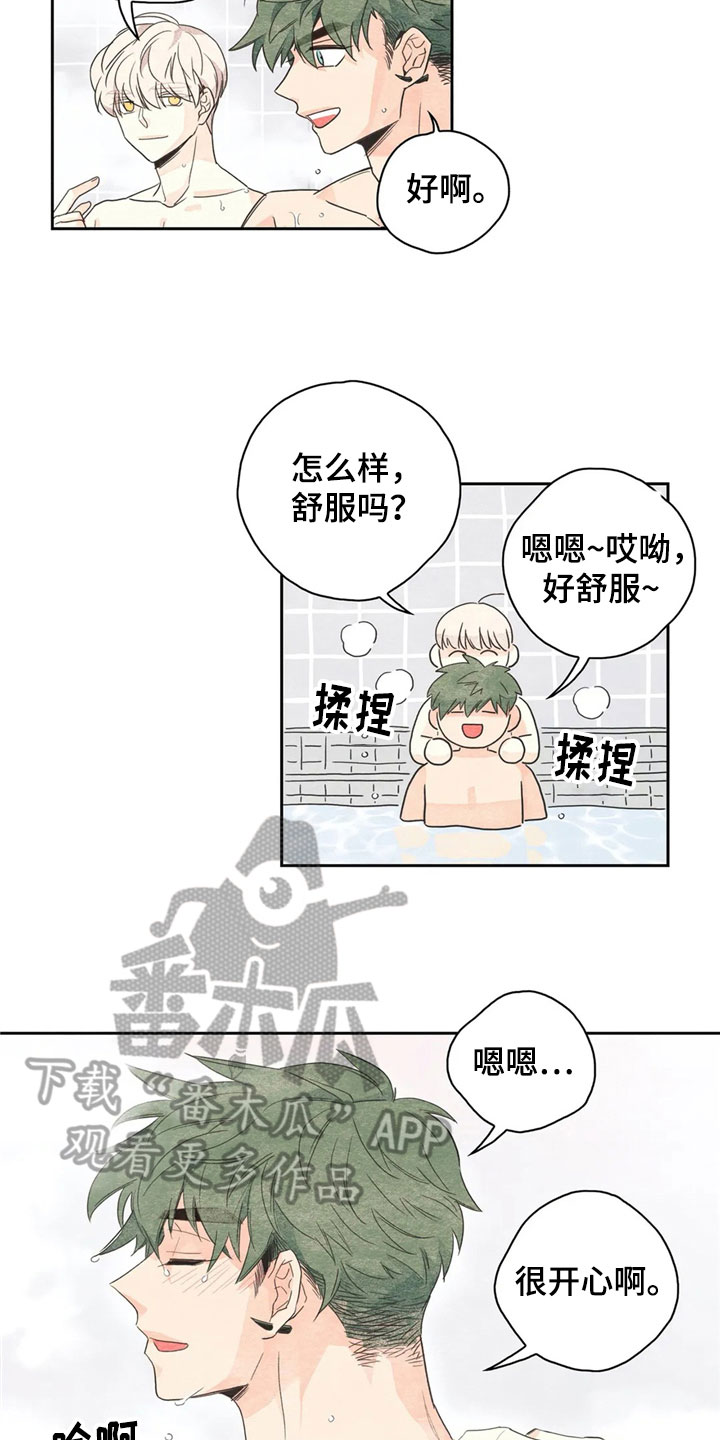 萝卜与白菜:下次再来