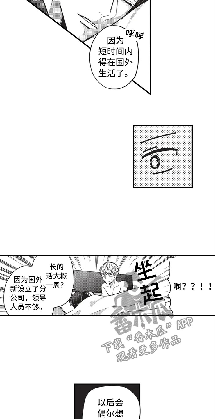 第11话：出国预览分镜