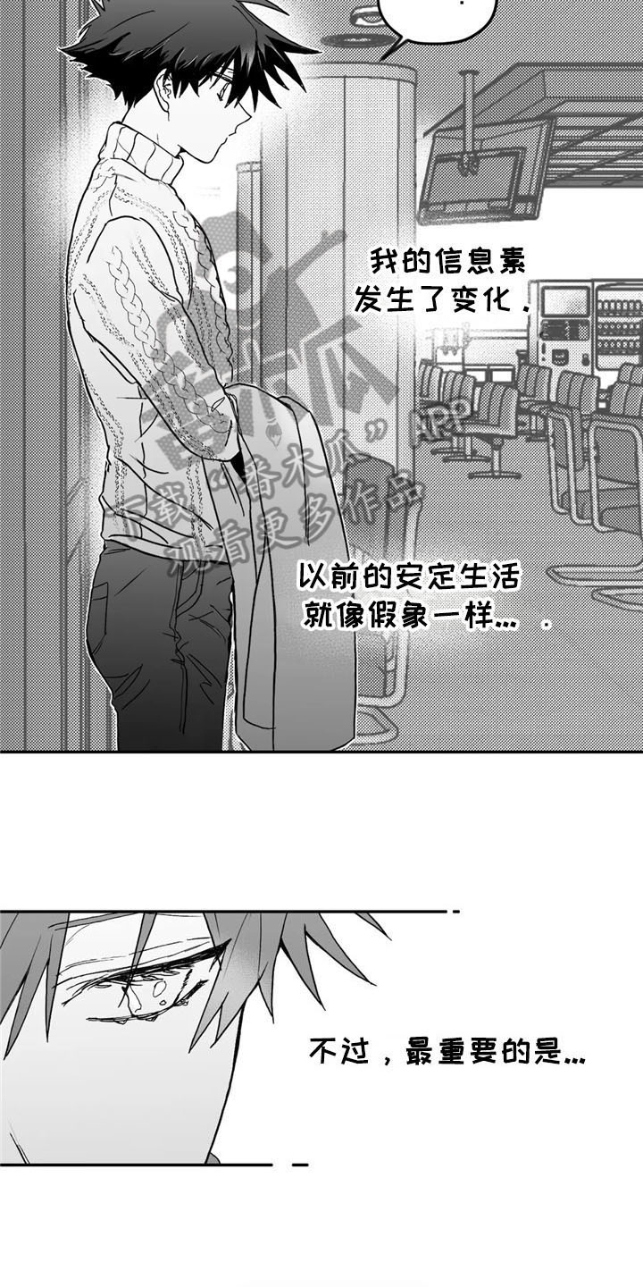 第6话：转好预览分镜