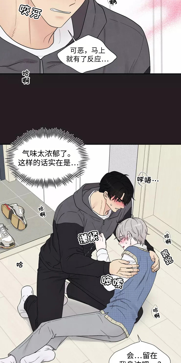 第10话：难以置信预览分镜