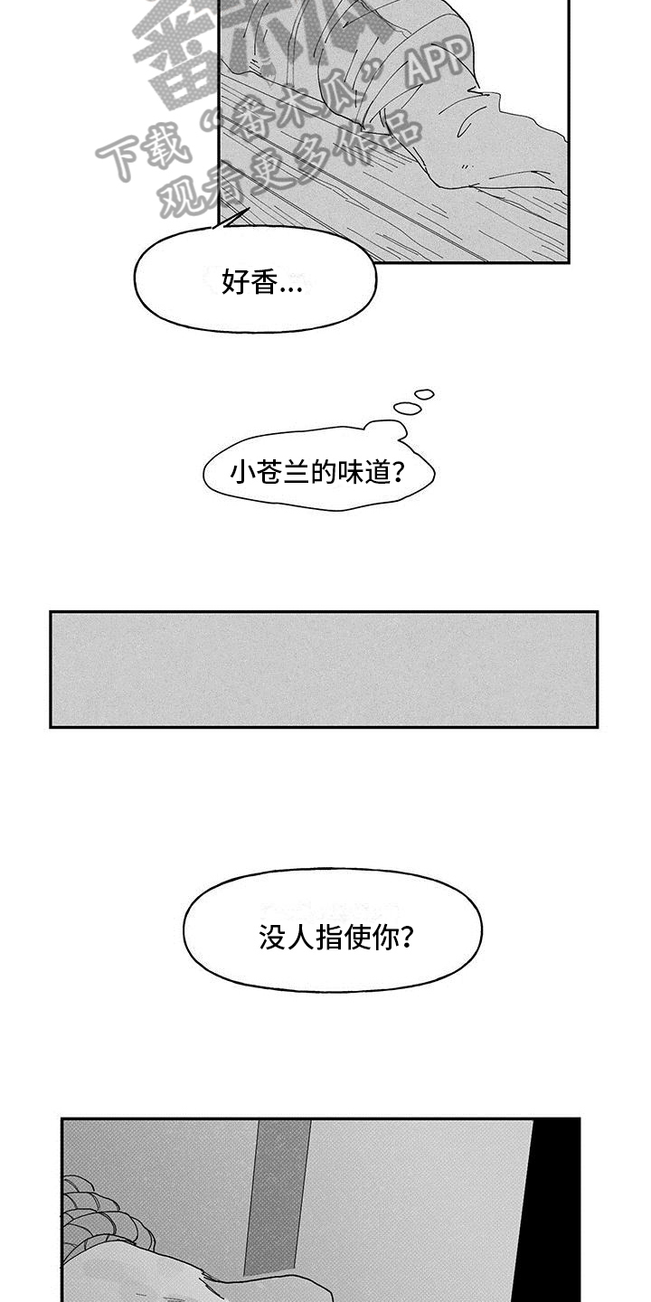 第10话：经历预览分镜