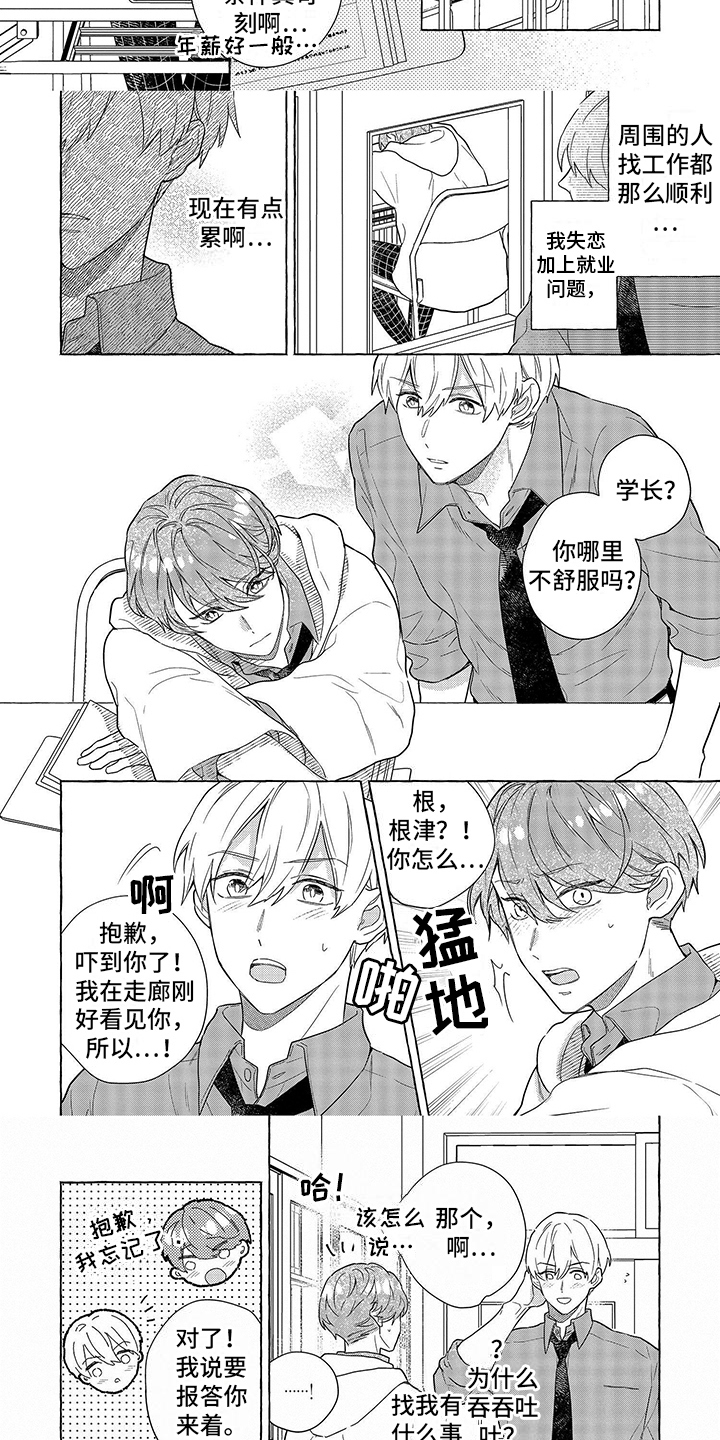 第3话：报答预览分镜