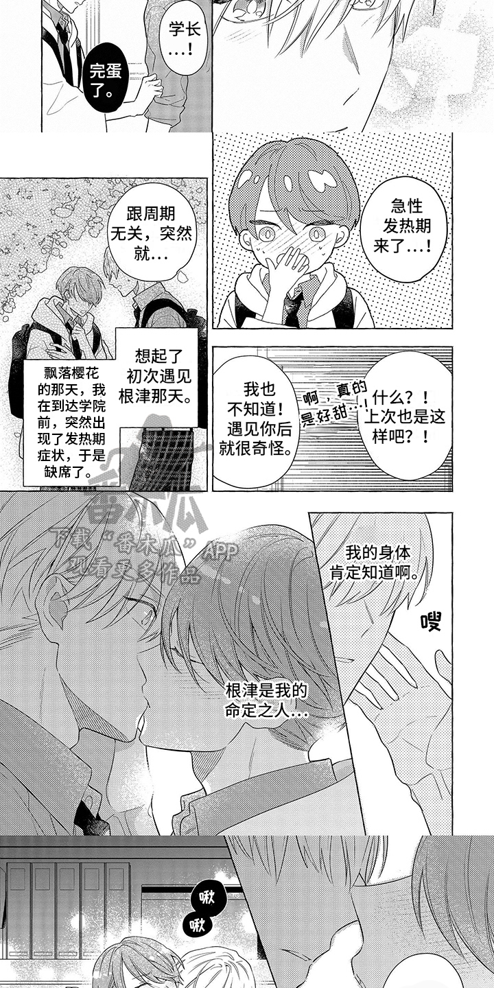 第16话：表达预览分镜