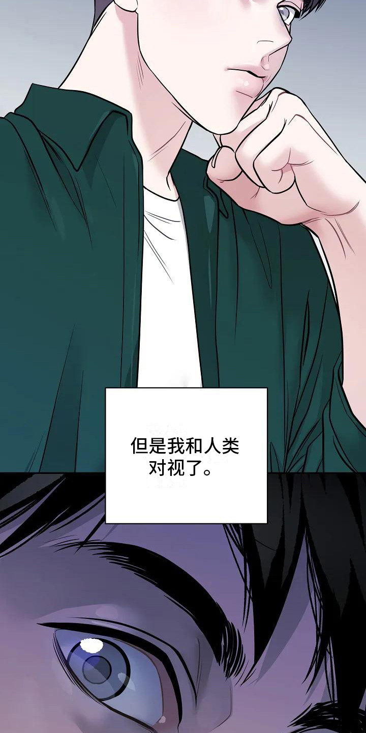 第2话：感知预览分镜