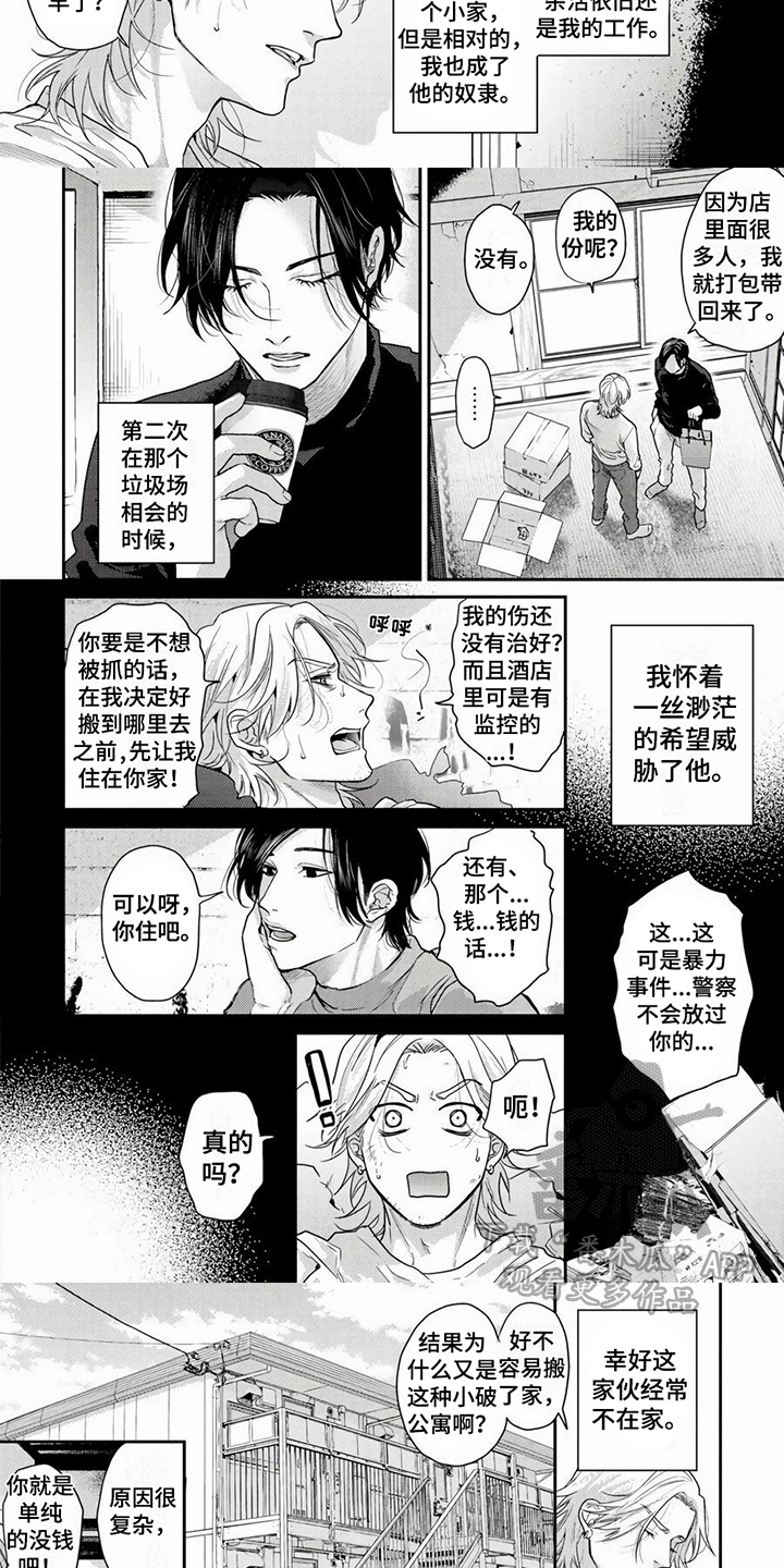 第5话：拍摄预览分镜