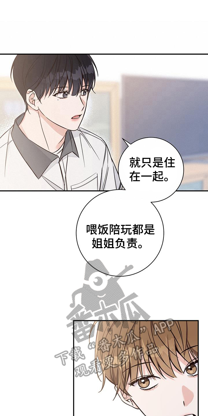 第16话：了解预览分镜