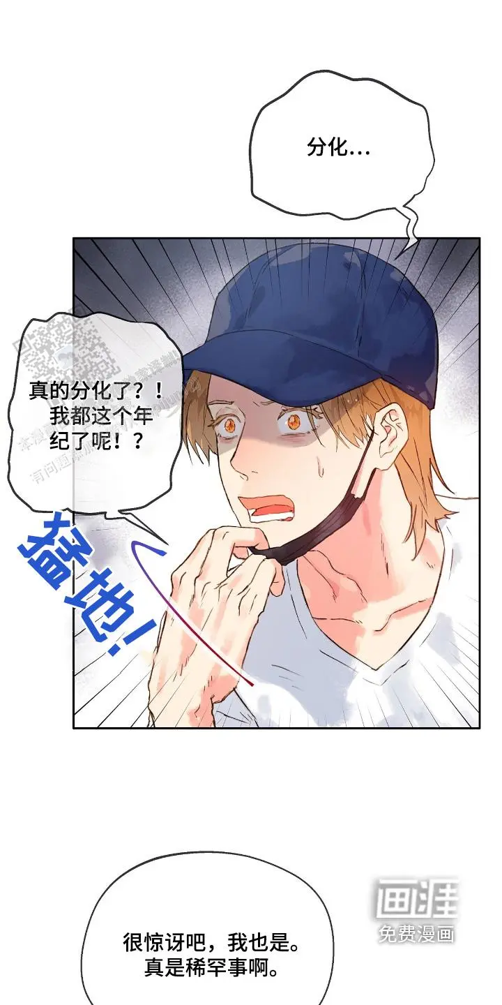 隐瞒到底