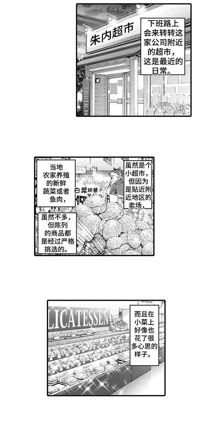 第1话：兽人预览分镜