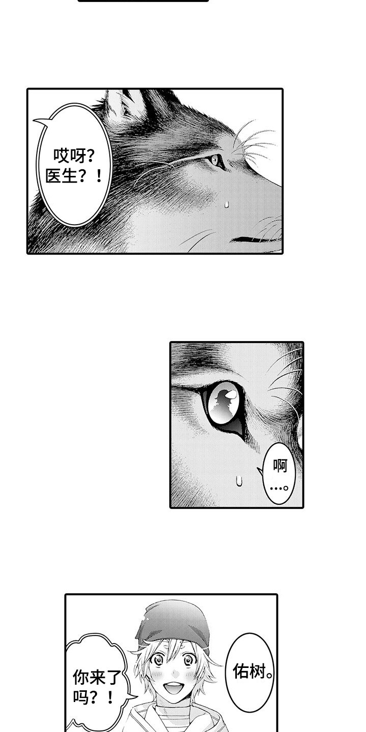第11话：表白预览分镜