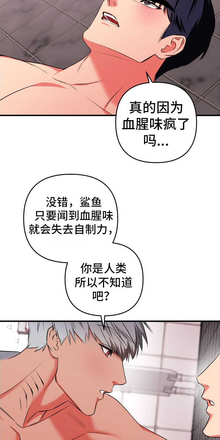 第4话：互帮互助预览分镜