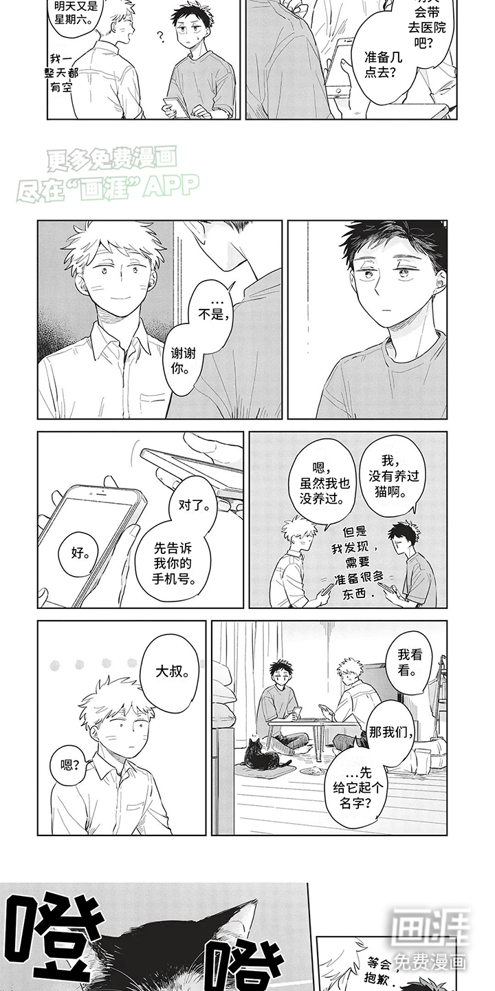 第10话：第10章：大限将至预览分镜