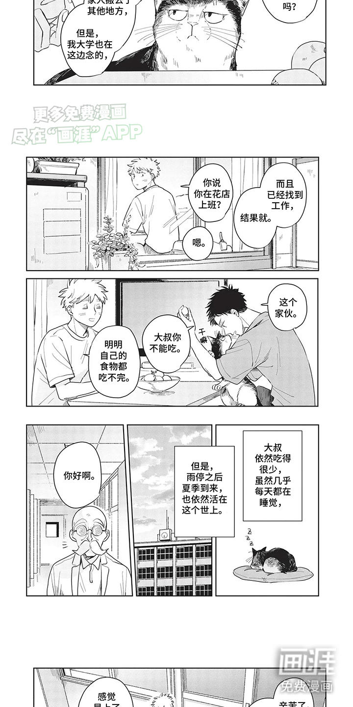 第11话：第11章：去了喵星预览分镜