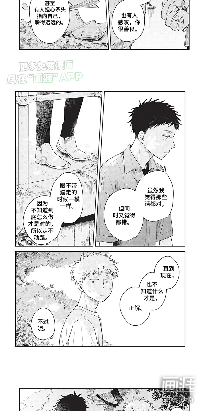 第12话：第12章：解开心结预览分镜