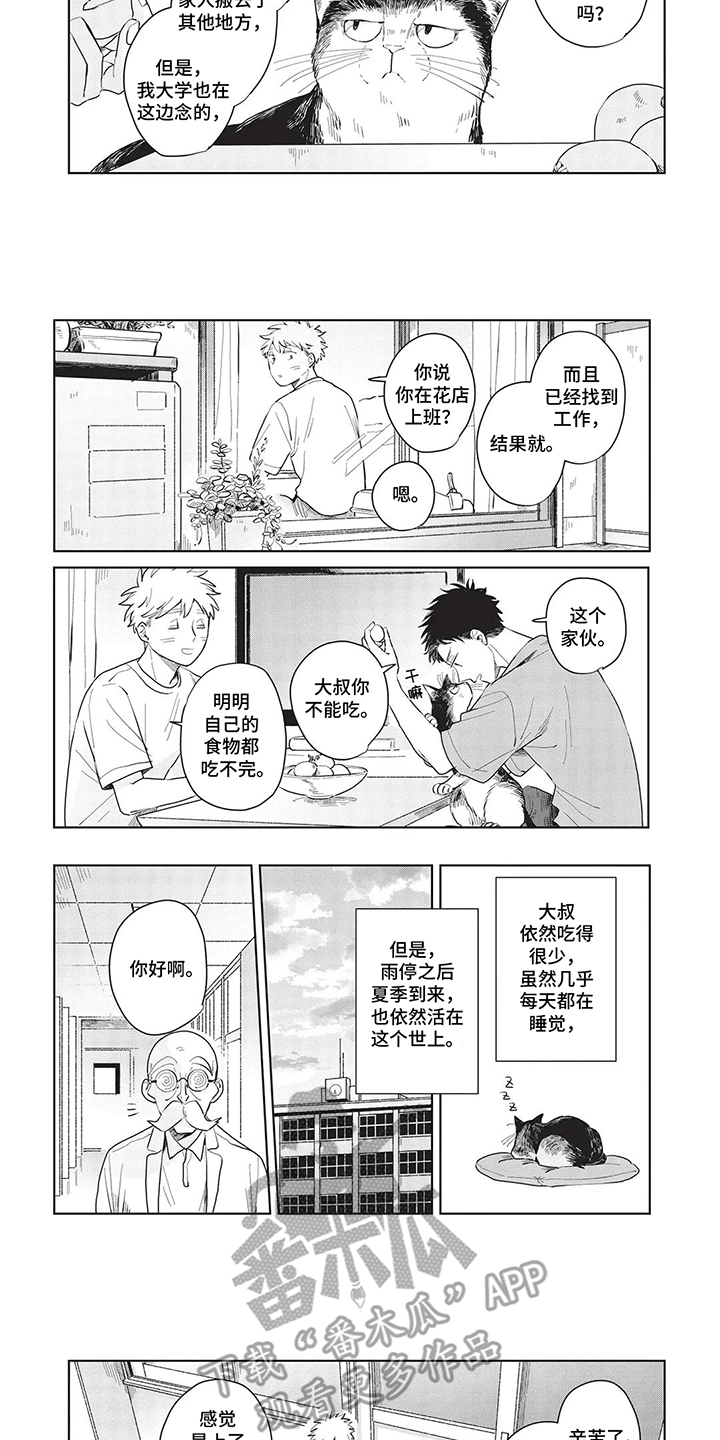 第11话：去了喵星预览分镜