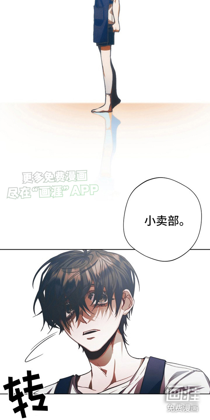 第12话：第12章：翘首以盼预览分镜