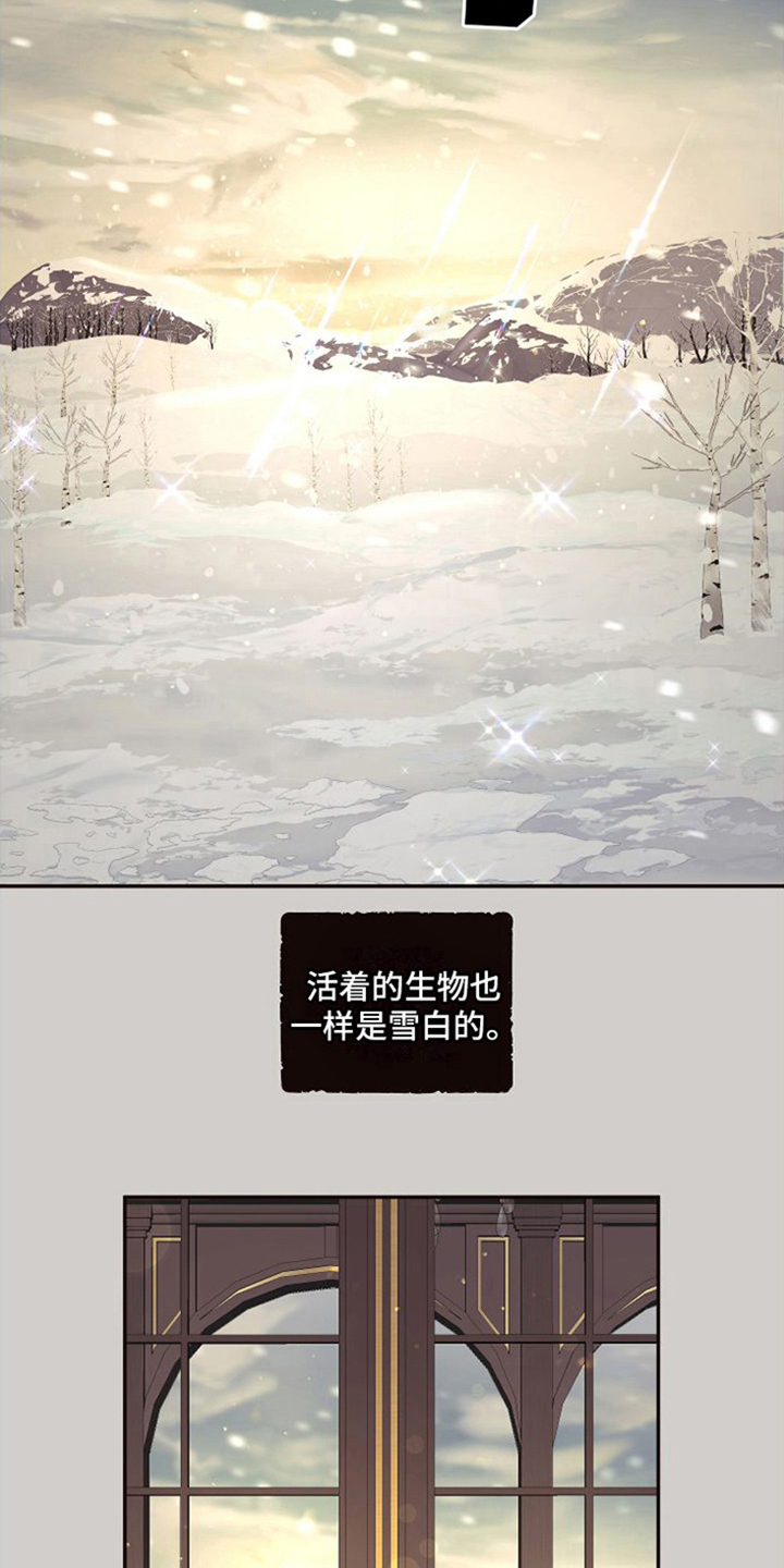 第1话：雪国预览分镜