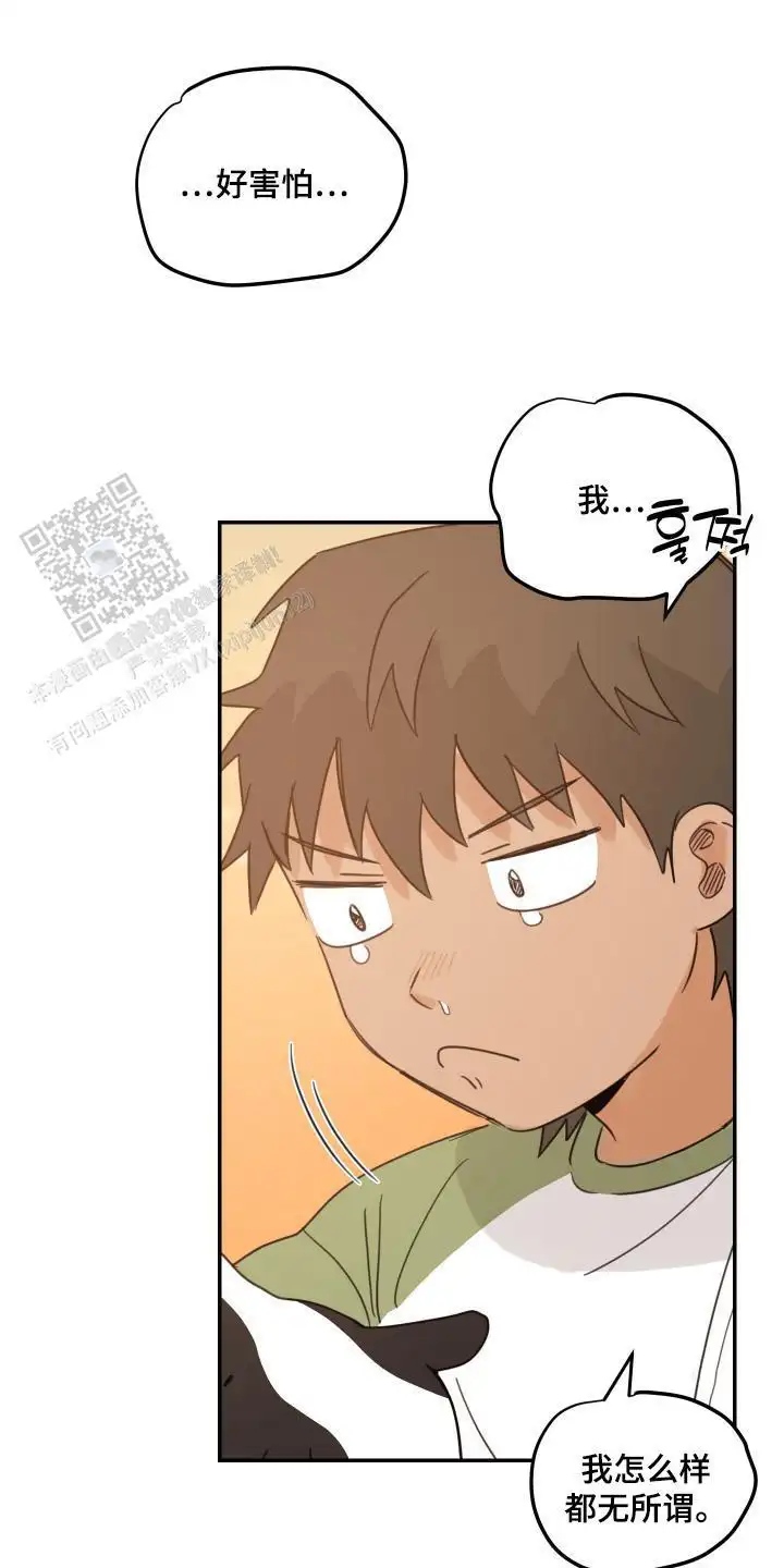不用担心