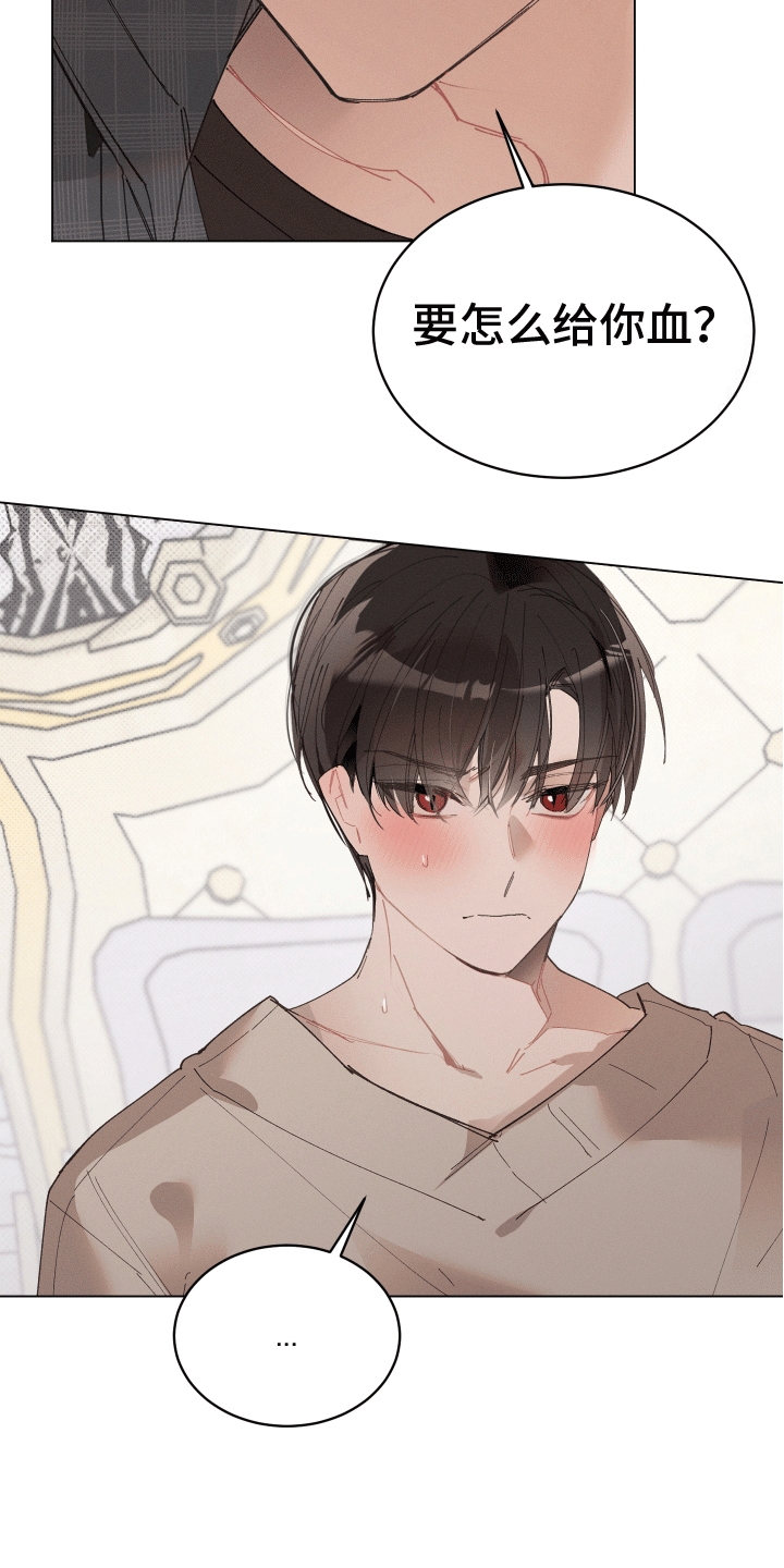第11话：尝试预览分镜