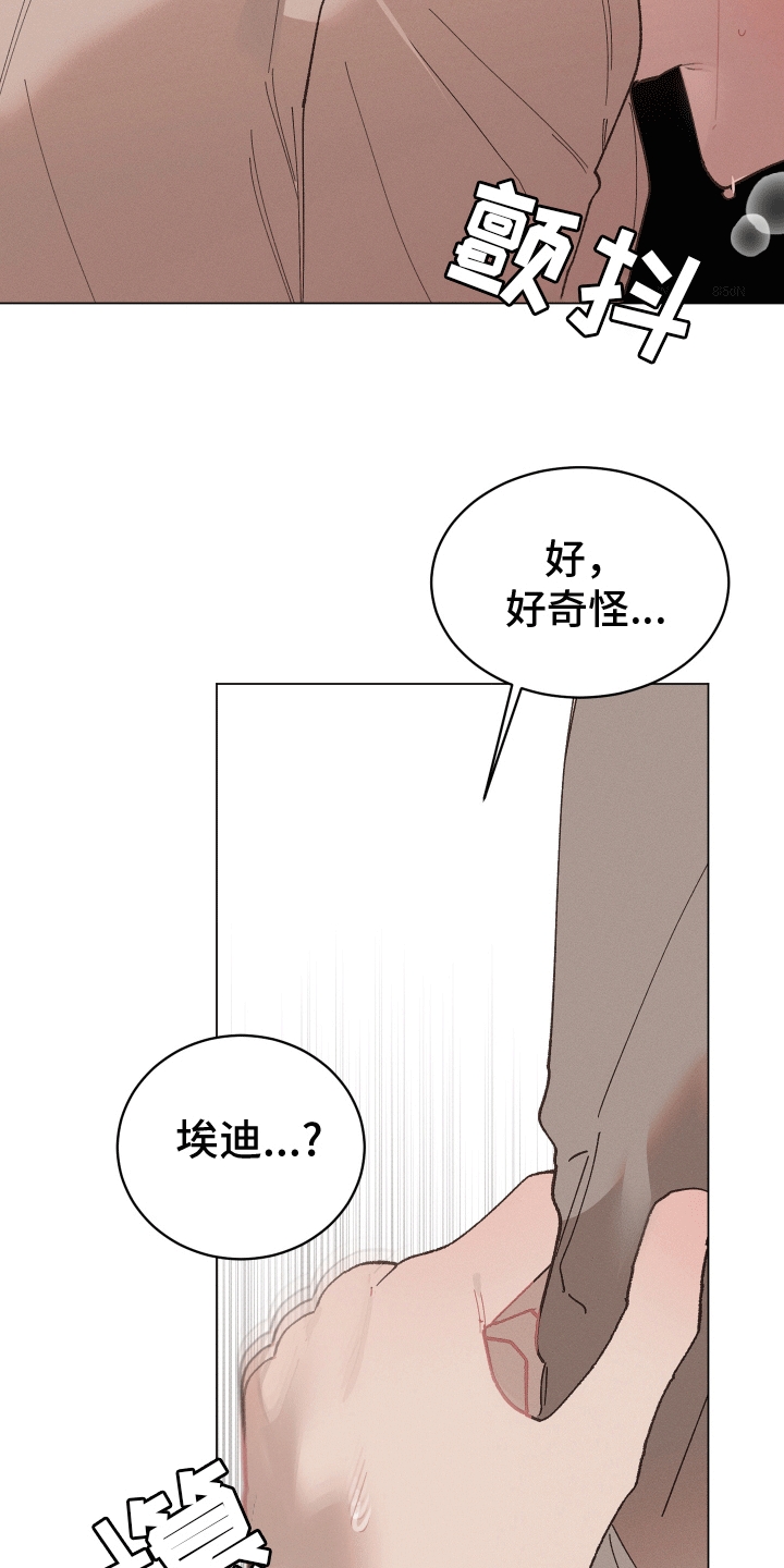 第12话：变化预览分镜