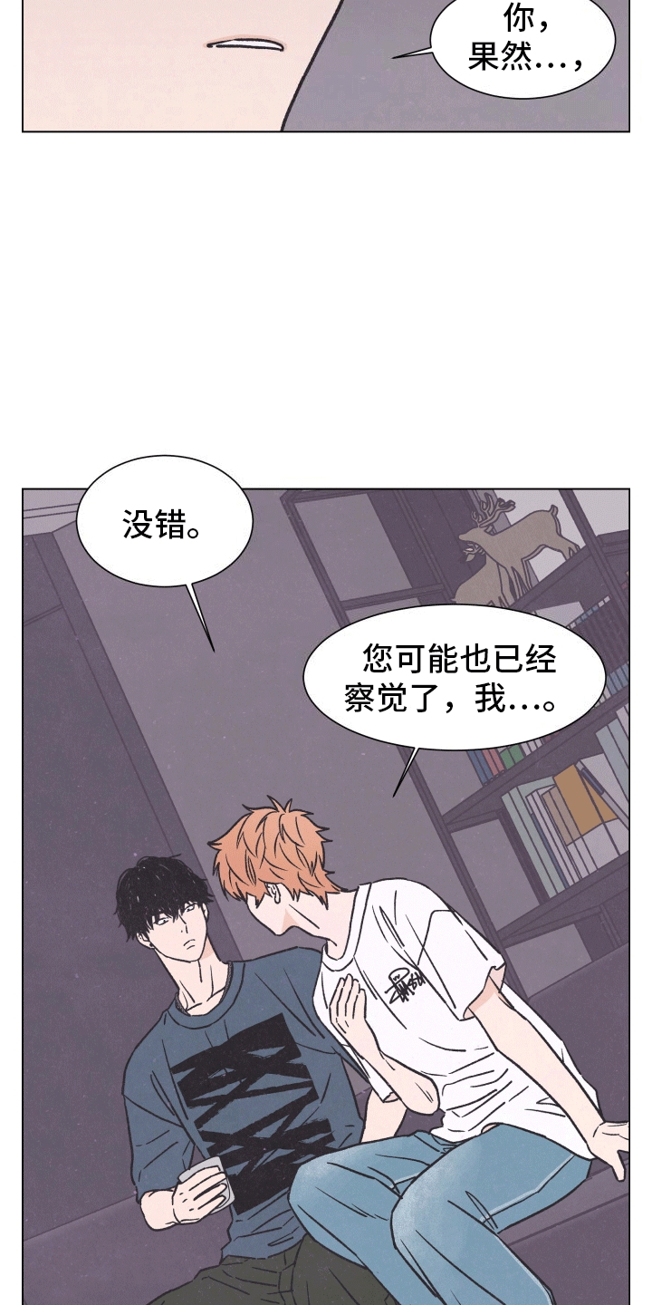 第4话：间谍预览分镜