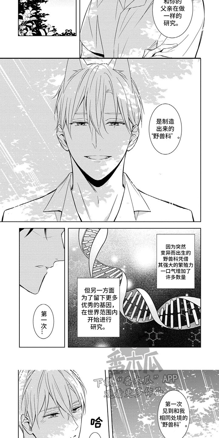 第11话：相熟预览分镜