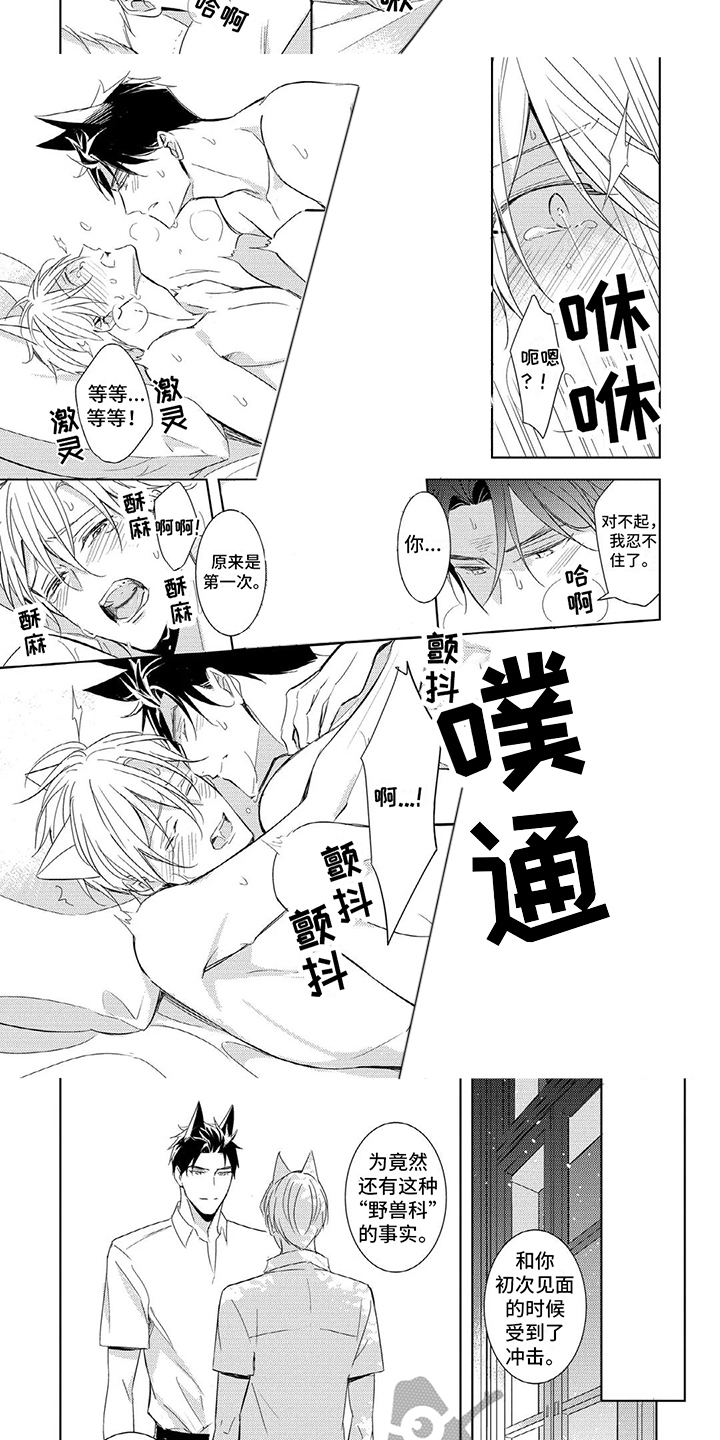第14话：占有欲预览分镜