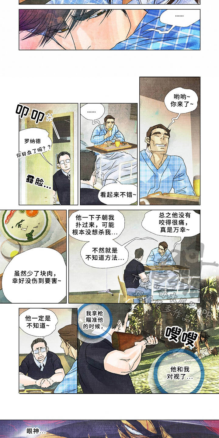第17话：第17章：不一般预览分镜