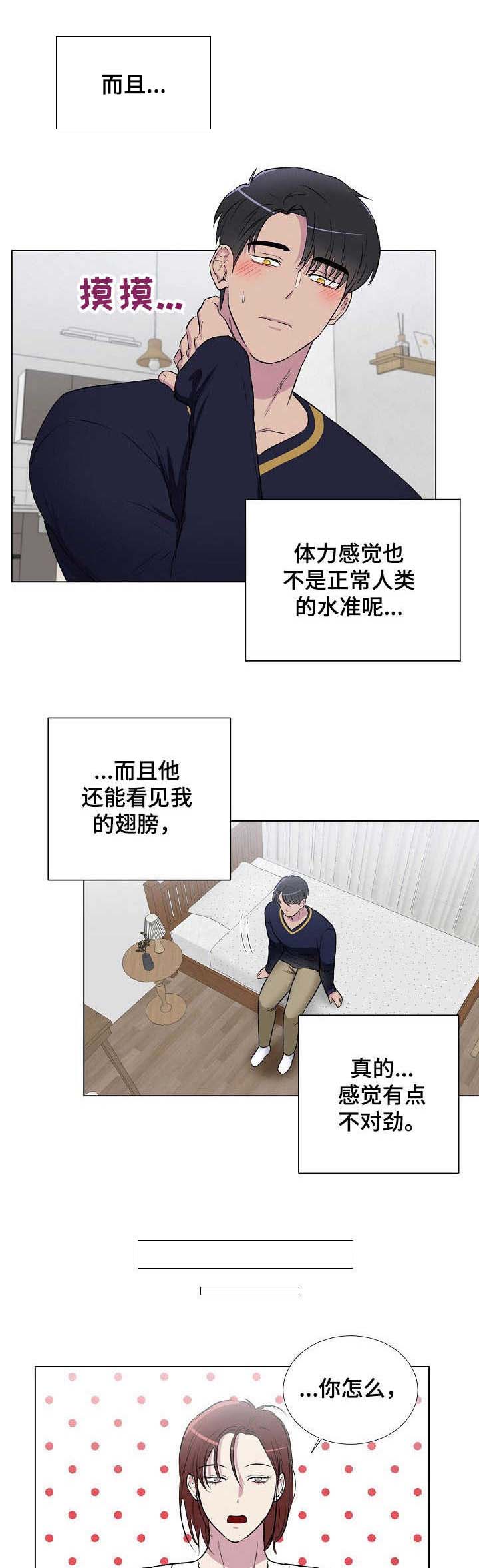 第9话：第9章：不对劲预览分镜